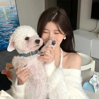 黑猩猩的世界